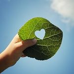 Électrificateur de clôture 230 V 10 200 V énergie 11 J affichage LED technologie impulsion longueur clôture jusqu’à 80 km