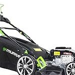 Tondeuse thermique 42 cm bac 45 L hauteur 25 à 75 mm