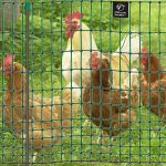 Filet pour volailles non électrifiable 50 m hauteur 112 cm 16 piquets vert