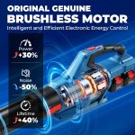 Souffleur de feuilles sans fil 40 V 650 CFM avec 2 batteries 4,0 Ah et chargeur