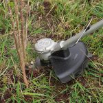 Débroussailleuse sans fil Bosch 36V-23-750 1 batterie 2,0 Ah + chargeur